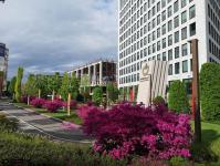 Imagine atasata: Openville - 2019.04.27 - 01.jpg